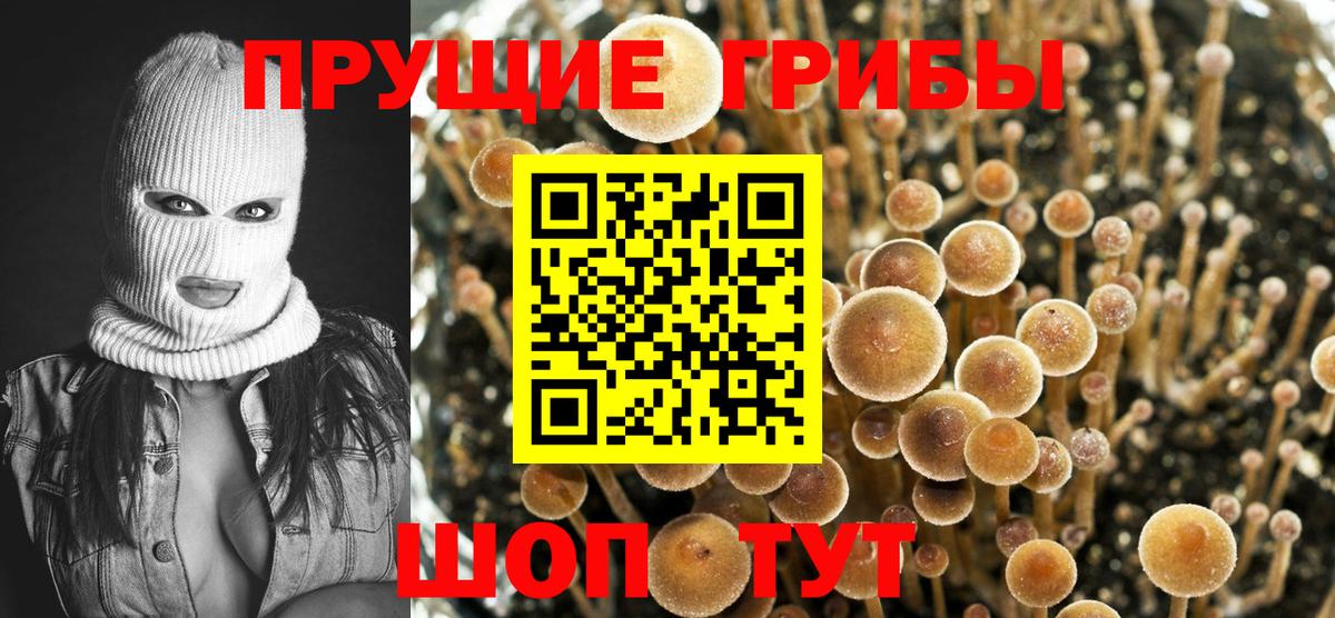 Галлюциногенные грибы мицелий Озёры