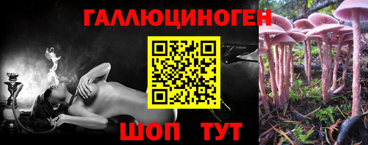 Озёры  Галлюциногенные грибы Psilocybine cubensis  Вход с VPN  Галлюциногенные грибы Magic Shrooms 